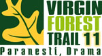 logo_vft2011.jpg