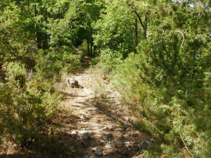 Σηματοδότηση διαδρομής NTR